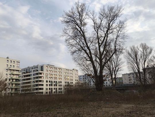 Jakie stanowisko zajęli radni wobec inwestycji przy Powązkowskiej 44A?