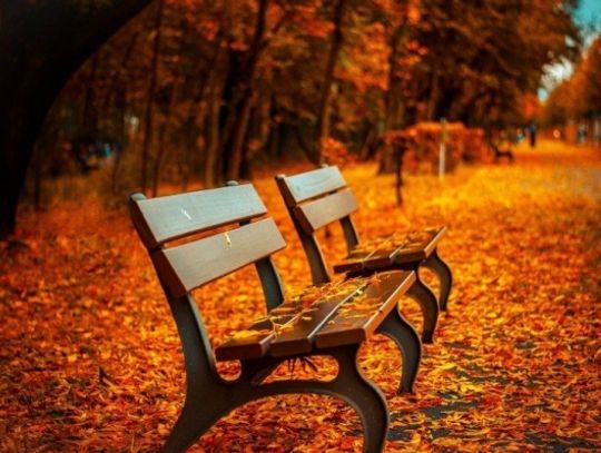 Jesienna metamorfoza: jak zadbać o siebie? Poznaj porady ekspertów!