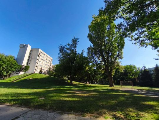 Kino pod chmurką wraca. Przed nami kilka letnich seansów na Zatrasiu i Rudawce