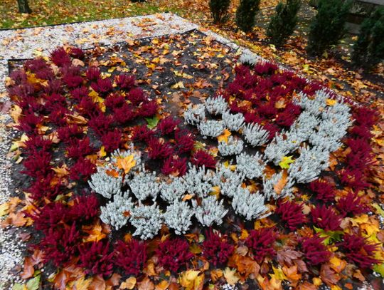 Kolejna dewastacja w Parku Żołnierzy „Żywiciela”. Najpierw rzeźba, teraz miejsce pamięci narodowej Kolejna dewastacja w Parku Żołnierzy „Żywiciela”. Najpierw rzeźba, teraz miejsce pamięci narodowej