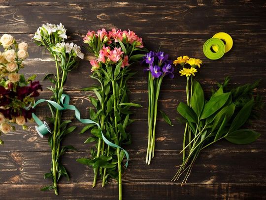 Kompozycje roślinne – twórcze warsztaty dla seniorów w Wypożyczalni nr 16