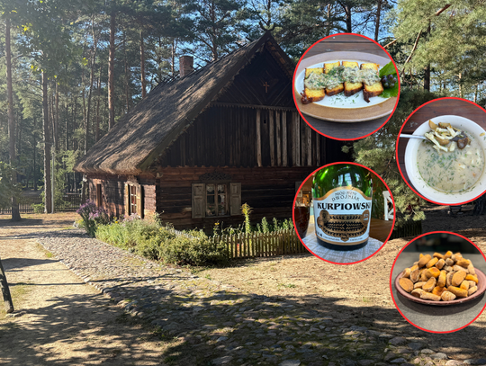 Kuchnia Mazowsza odcinek 6. Kurpie - miód, rejbak i fafernuchy Kuchnia Mazowsza odcinek 6. Kurpie - miód, rejbak i fafernuchy