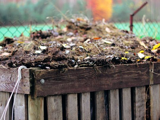 Liście na kompost - nie do wywozu
