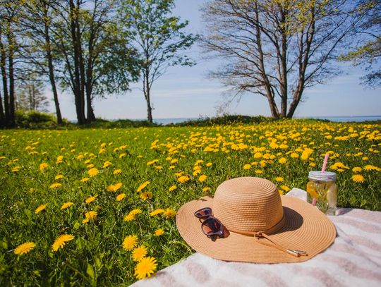Majówka w stylu slow – odkryj uroki dzielnicy