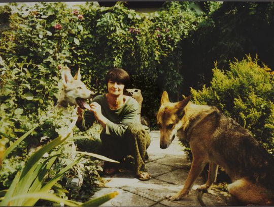 Miasto Zwierząt. Niezwykły świat Domicelli Bożekowskiej w Łazienkach Miasto Zwierząt. Niezwykły świat Domicelli Bożekowskiej w Łazienkach