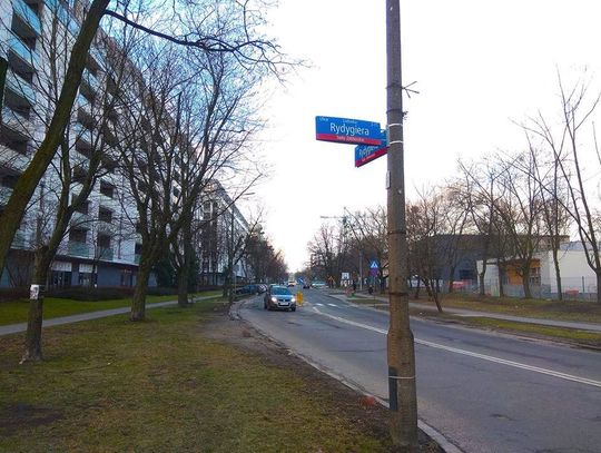Mieszkańcy chcą wysokich drzew. Projekt przewiduje jednak niskie nasadzenia w ulicy Rydygiera