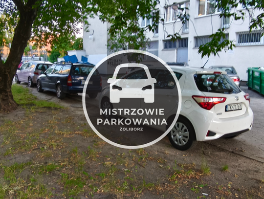 Misrzowie parkowania #87