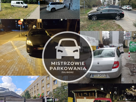 Mistrzowie parkowania #100 - Złota kolekcja Mistrzowie parkowania #100 - Złota kolekcja