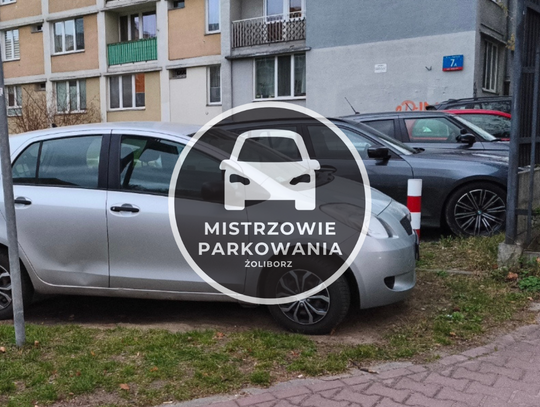 Mistrzowie parkowania #104 Mistrzowie parkowania #104