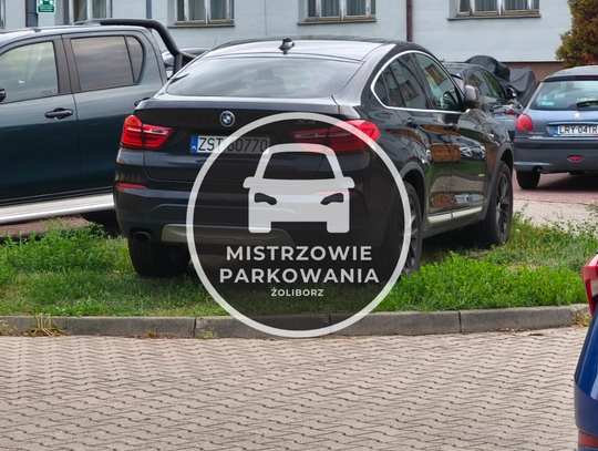 Mistrzowie parkowania #106