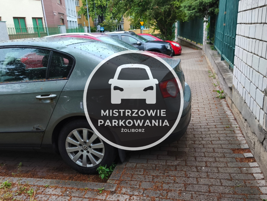 Mistrzowie parkowania #108