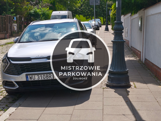 Mistrzowie parkowania #109