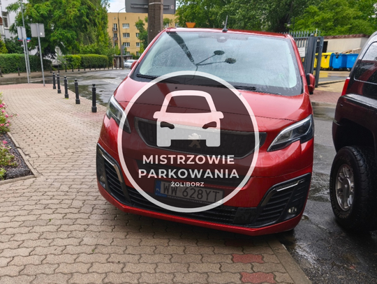 Mistrzowie parkowania #110