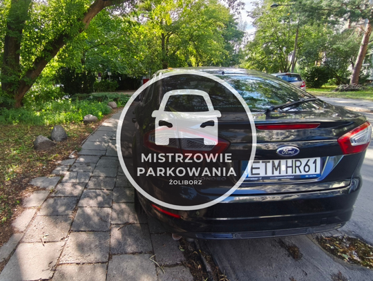 Mistrzowie parkowania #111