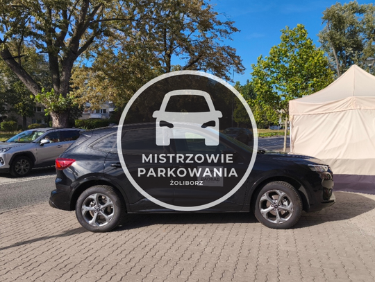 Mistrzowie parkowania #114