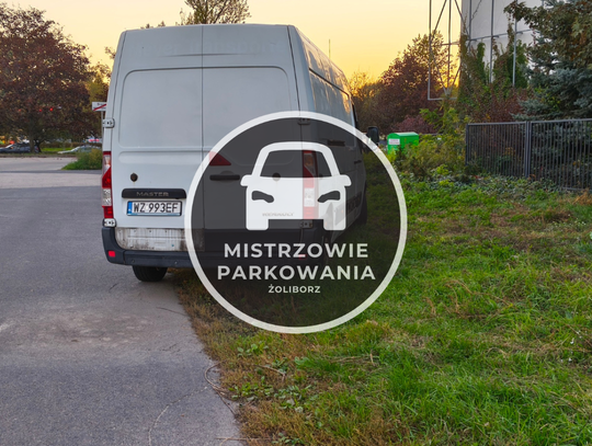 Mistrzowie parkowania #115