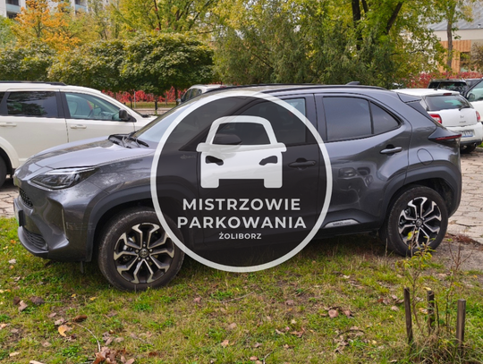 Mistrzowie parkowania #116