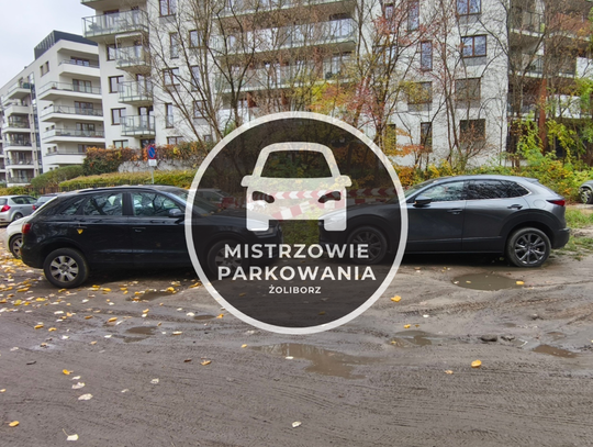 Mistrzowie parkowania #117