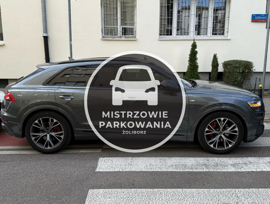 Mistrzowie parkowania #53