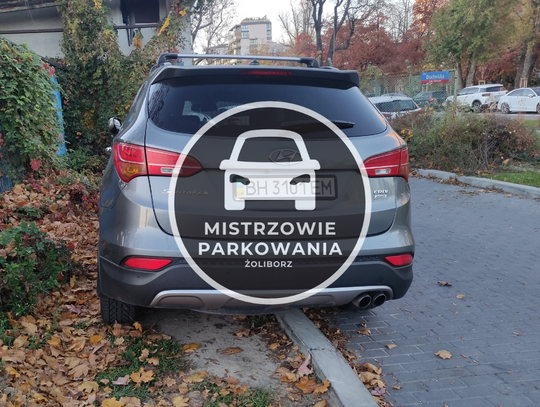 Mistrzowie parkowania #54