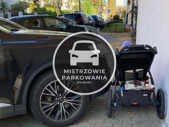 Mistrzowie parkowania #55