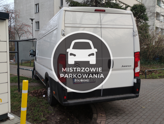 Mistrzowie parkowania #58