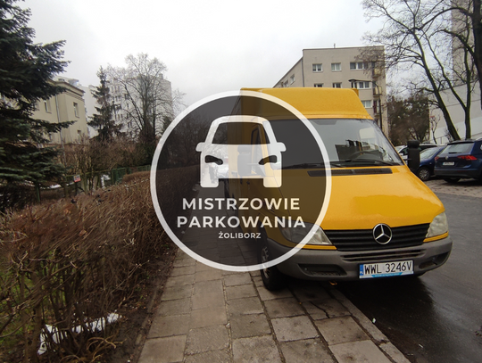 Mistrzowie parkowania #64