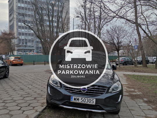 Mistrzowie parkowania #65