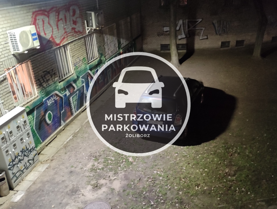 Mistrzowie parkowania #66