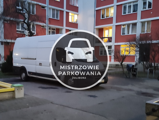 Mistrzowie parkowania #67