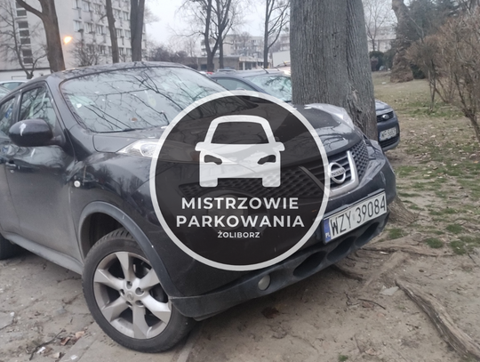 Mistrzowie parkowania #68