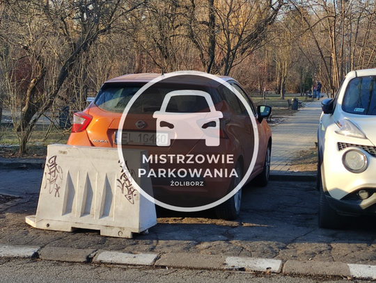 Mistrzowie parkowania #70