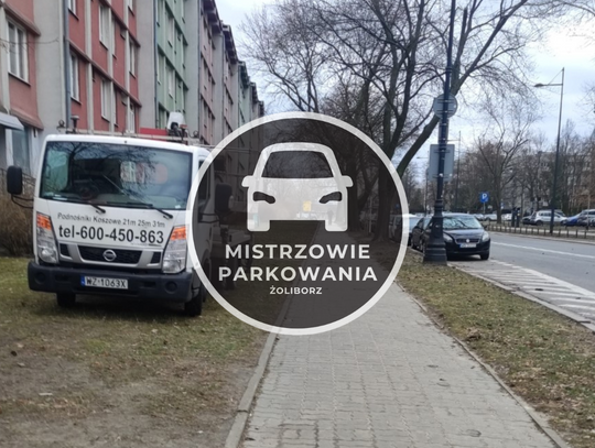 Mistrzowie parkowania #71