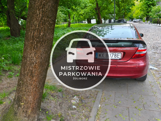 Mistrzowie parkowania #79