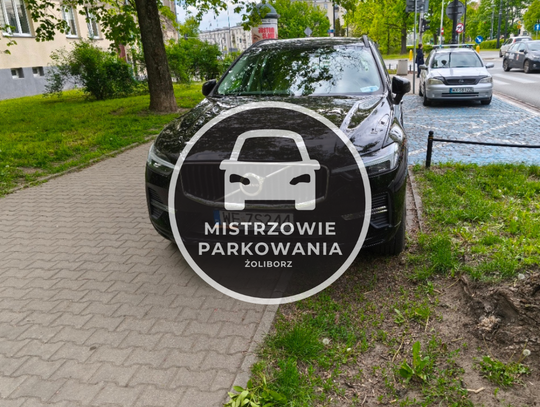 Mistrzowie parkowania #81