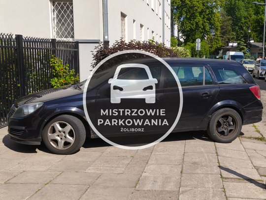 Mistrzowie parkowania #83