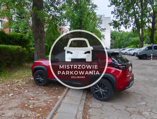 Mistrzowie parkowania #86