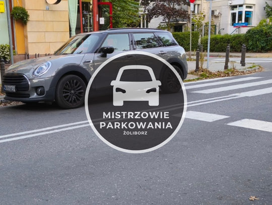 Mistrzowie parkowania #91