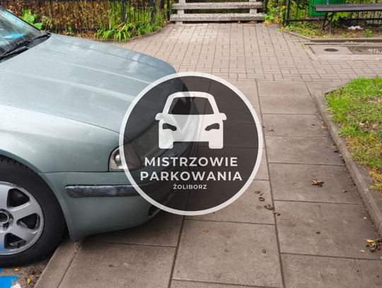 Mistrzowie parkowania #92