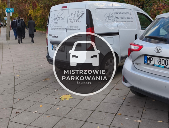 Mistrzowie parkowania #93 Mistrzowie parkowania #93