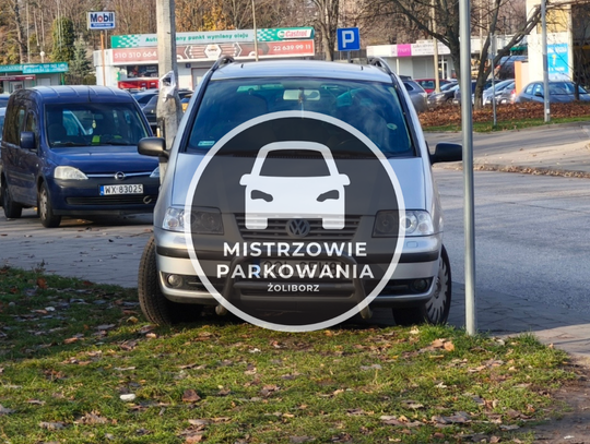 Mistrzowie parkowania #95 Mistrzowie parkowania #95