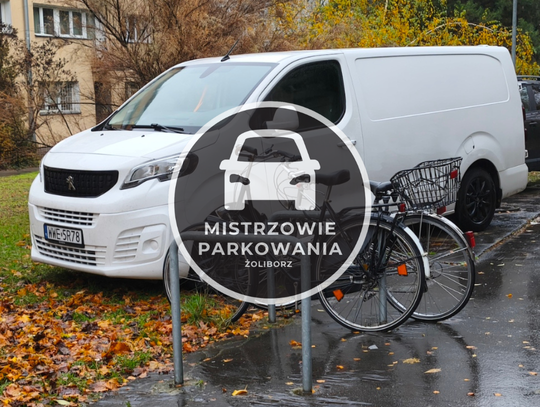 Mistrzowie parkowania #96