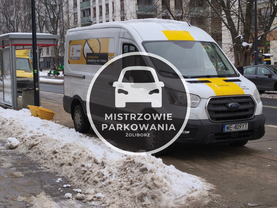Mistrzowie parkowania #99