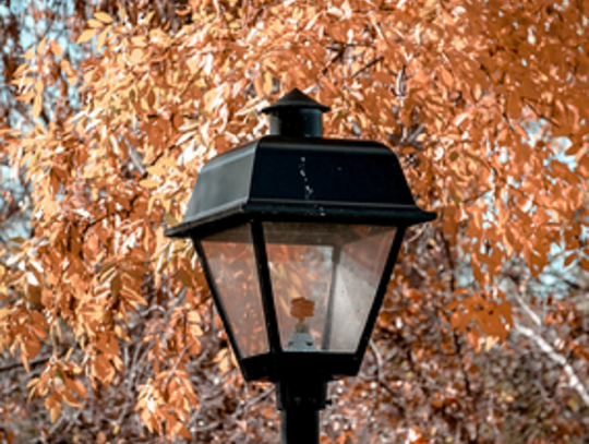 Nowoczesne światło dla parków