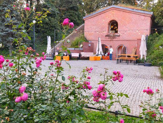 Ostatnie tango Prochowni. Po 13 latach kultowe miejsce kończy działalność