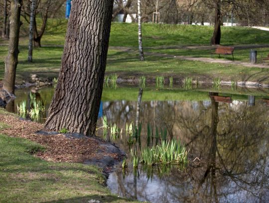 Park Kaskada. Zobacz jak pięknie prezentuje się jeden z najstarszych parków Warszawy