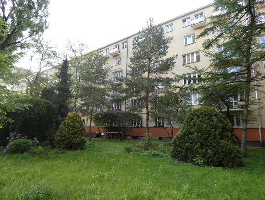 Pies zamknięty w piwnicy. Zimowe Leże po kontroli inspektora nadzoru budowlanego