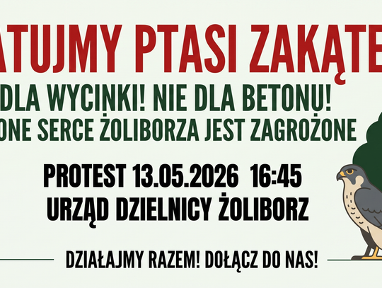 Po co to przedszkole? Liczby mówią same za siebie