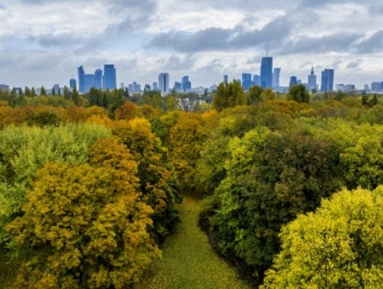 Program ochrony środowiska dla Warszawy na lata 2025-2030