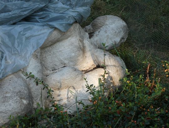 Przewrócone „Macierzyństwo” – walka o ocalenie rzeźby Szapocznikow